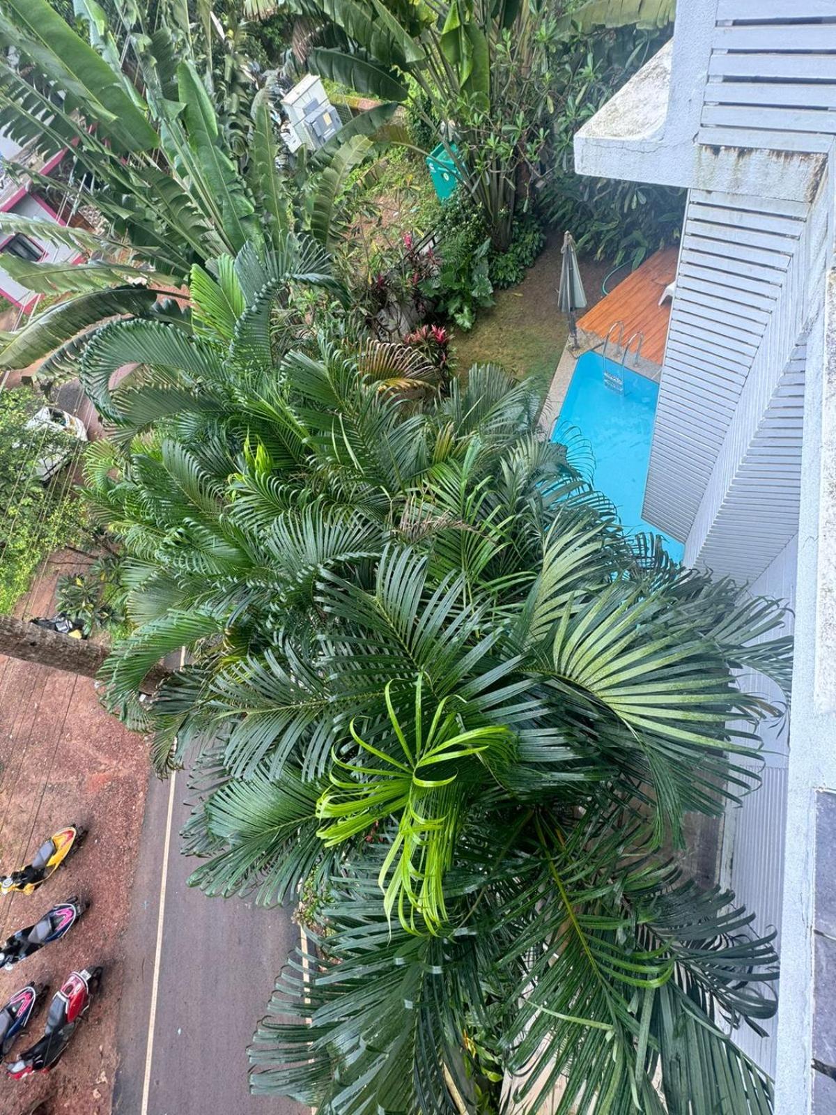 Half Hotel, Calangute Ngoại thất bức ảnh